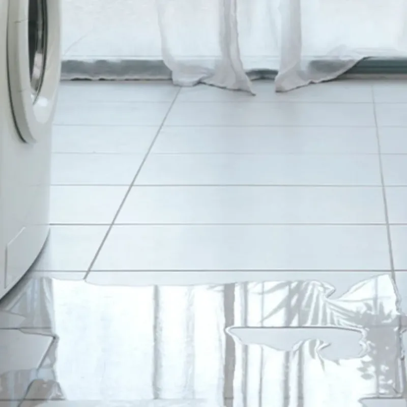 Appliance Leak Cleanup in Ina, IL