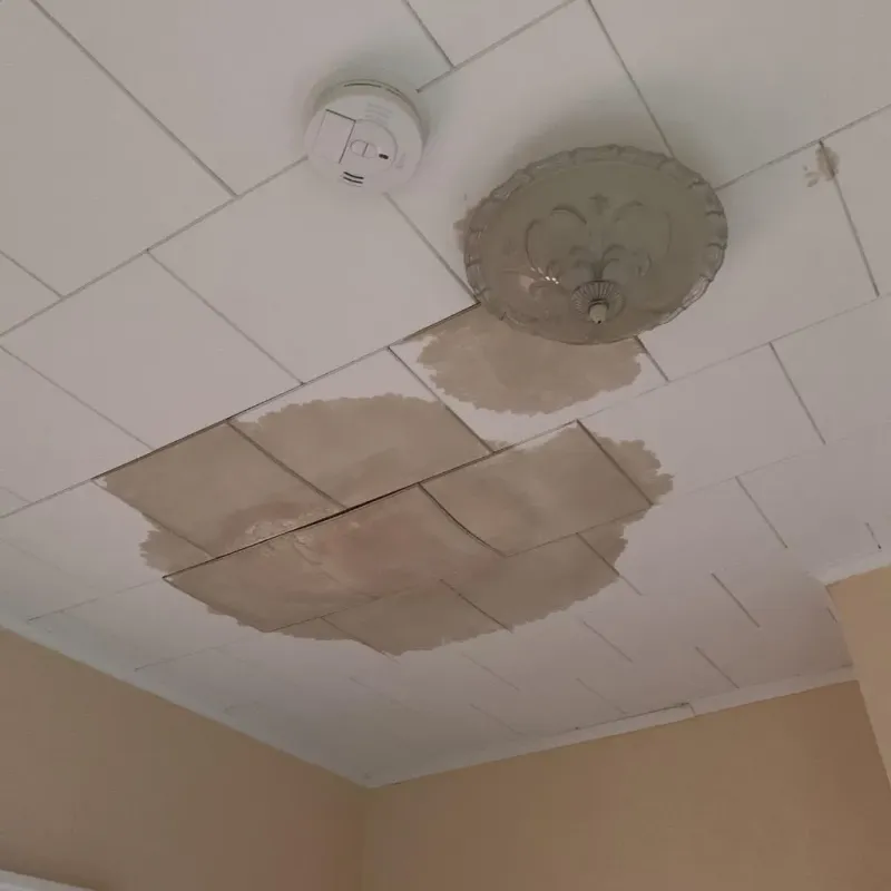 Ceiling Water Damage Repair in Ina, IL