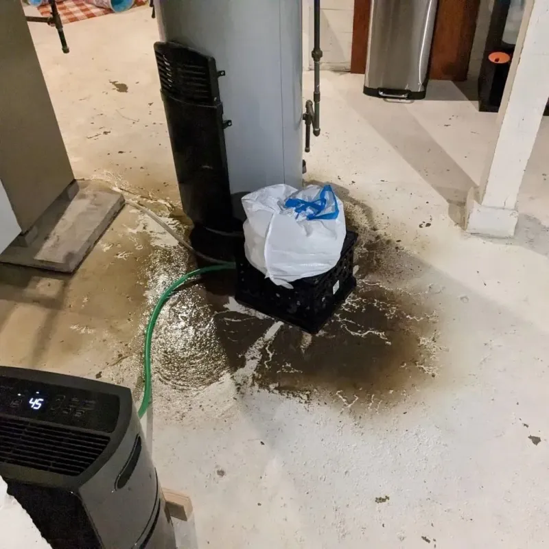 Sewage Backup Cleanup Service in Ina, IL